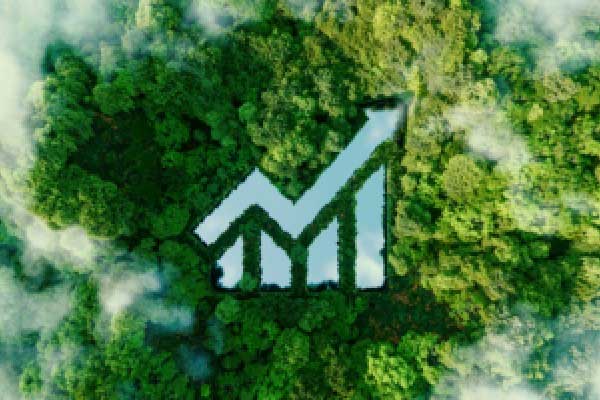 绩优权益基金密集“限流”